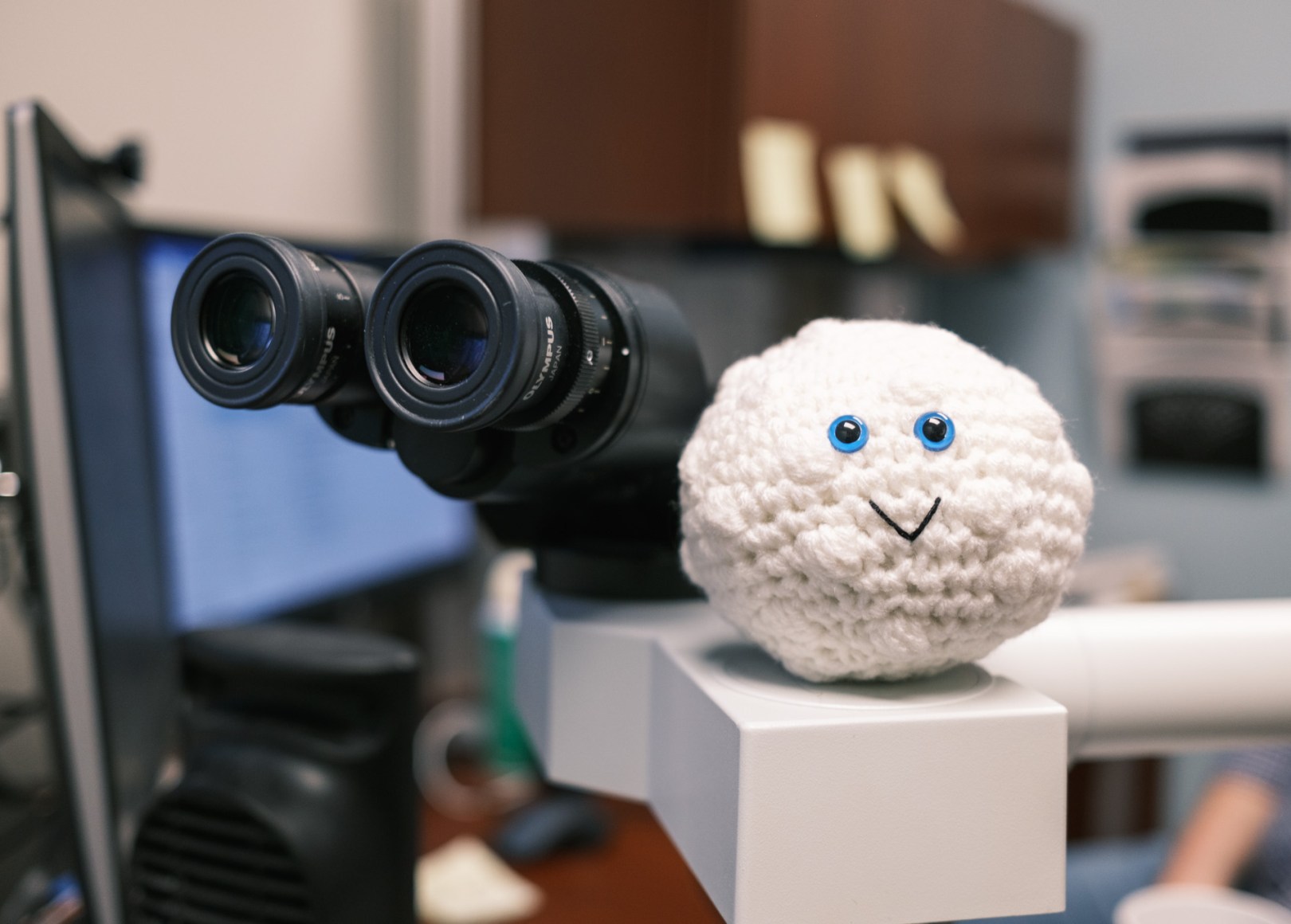 Your IWK article on The CELLFiE Project